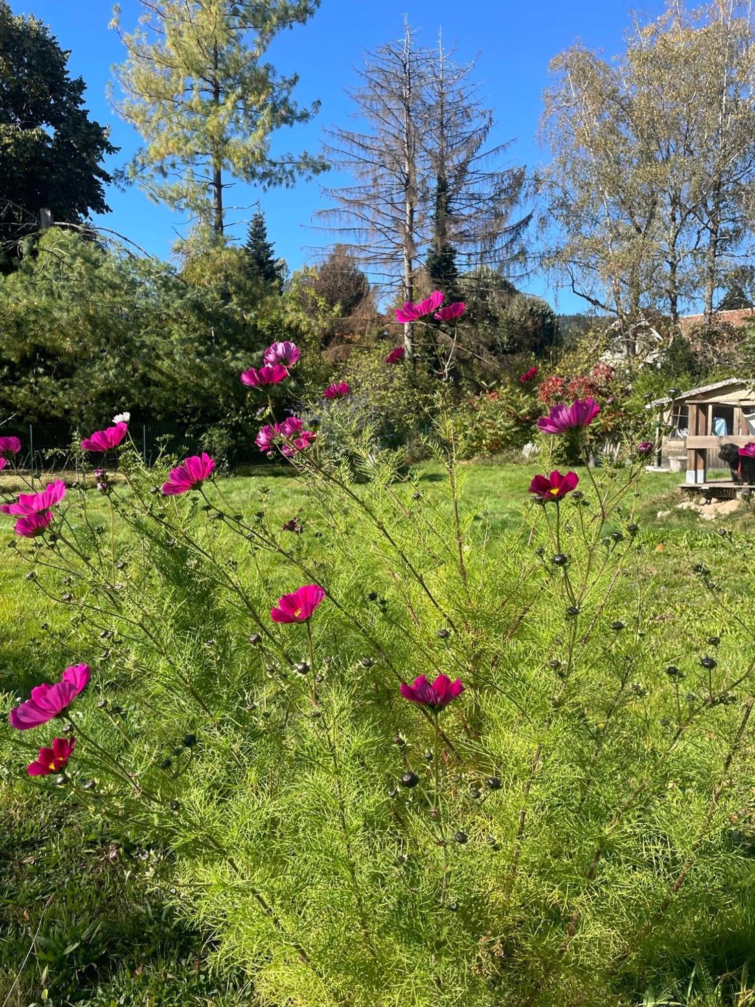 O Village Giromagny Buitenkant foto